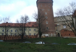 DSCF0371